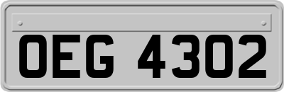 OEG4302