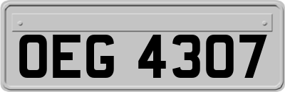 OEG4307