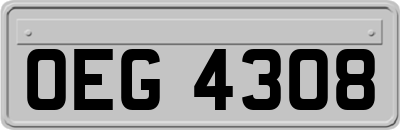 OEG4308