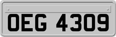 OEG4309