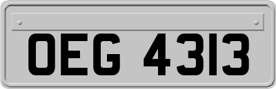 OEG4313