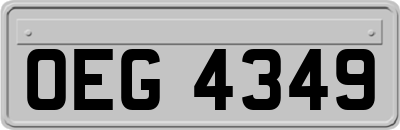 OEG4349