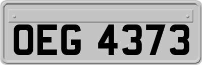 OEG4373