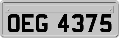 OEG4375