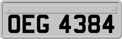 OEG4384