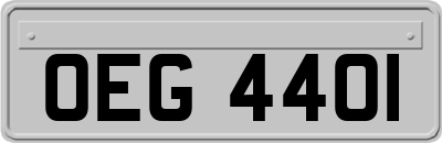 OEG4401