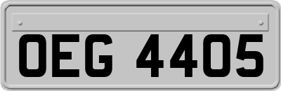 OEG4405