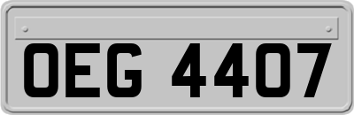 OEG4407