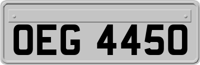 OEG4450
