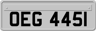 OEG4451