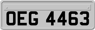 OEG4463