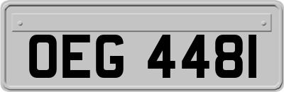 OEG4481