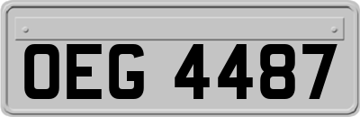 OEG4487