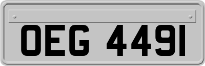 OEG4491