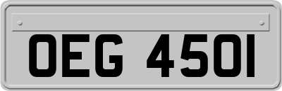 OEG4501