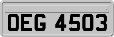 OEG4503