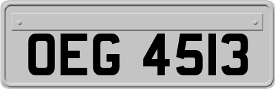 OEG4513