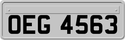 OEG4563