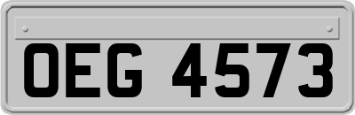 OEG4573