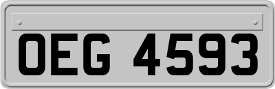 OEG4593