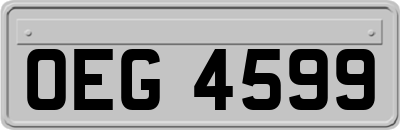 OEG4599