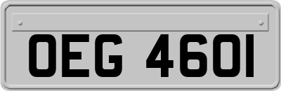 OEG4601