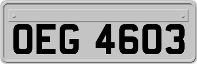 OEG4603