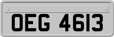 OEG4613