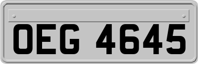 OEG4645