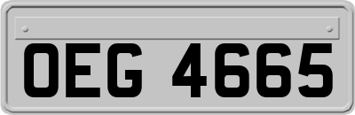 OEG4665