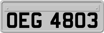 OEG4803