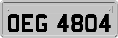 OEG4804