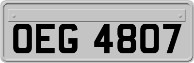 OEG4807