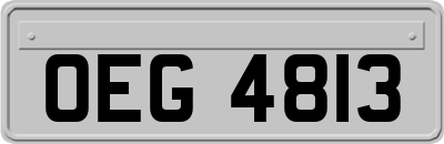 OEG4813
