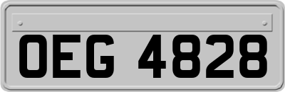 OEG4828