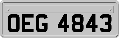 OEG4843