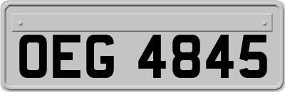 OEG4845