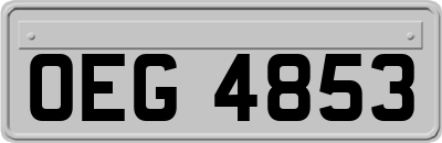 OEG4853