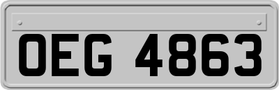 OEG4863