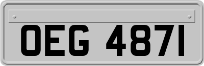 OEG4871