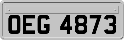 OEG4873