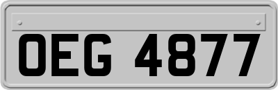 OEG4877