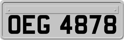 OEG4878
