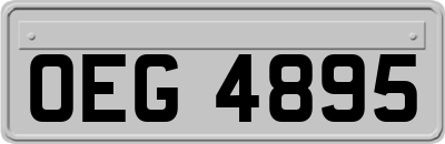 OEG4895
