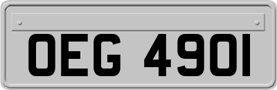 OEG4901