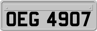 OEG4907