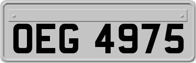 OEG4975