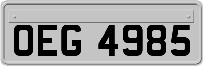 OEG4985
