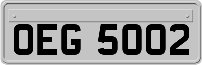OEG5002