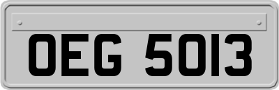 OEG5013